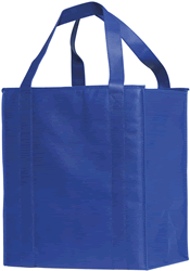 cooler tote bag