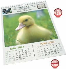 Economy Wall Calendar
