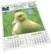 Economy Wall Calendar