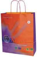 Paper handled carrier bag